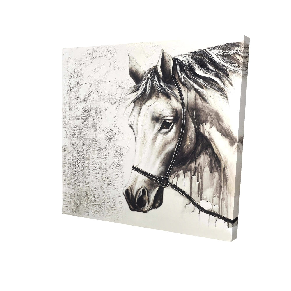 Alpha the white horse - 12x12 Print on canvas