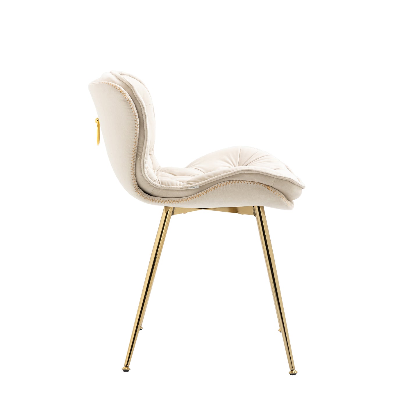 COOLMORE  Owen Collection Modern | Contemporary Velvet Upholstered Dining Chair with Polished Gold Legs, Set of 2