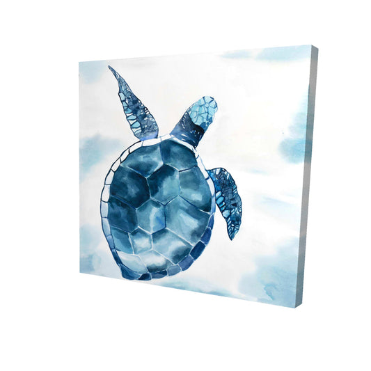 Blue turtle - 12x12 Print on canvas