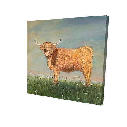 Daisy the highland cow - 32x32 Print on canvas