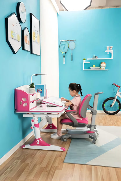 Ergonomic Multi Function Adjustable Kids Study Desk & Hutch Model E Pink Color