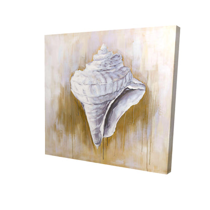 Conical shell - 16x16 Print on canvas