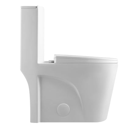 Chromed flush button for toilet 21S0901-GW