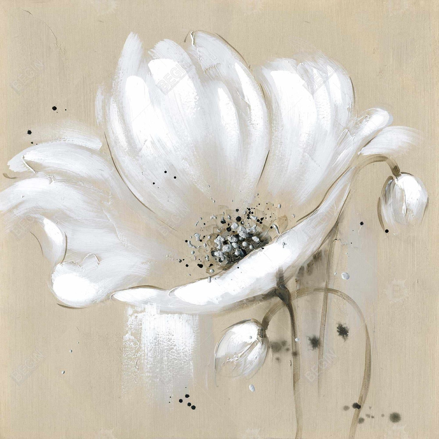 White abstract wild flower - 08x08 Print on canvas