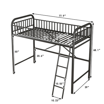 Twin Size Metal Loft Bed, No Box Spring Needed, Black (Old SKU:SM000222AAB)