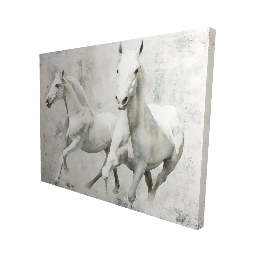 Two white horse running - 08x10 Print on canvas