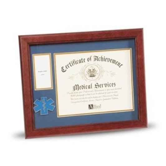 EMS Frame 8x10 EMS Medallion,Certificate,Medal Frame. by The Military Gift Store