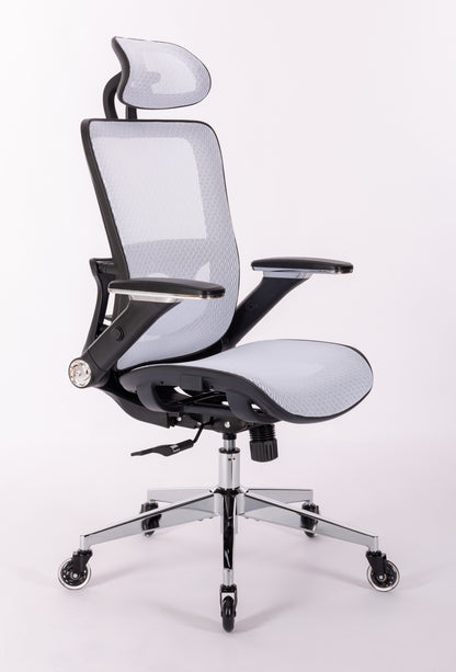 Ergonomic Mesh Office Chair - Rolling Home Desk Chair with 4D Adjustable Flip Armrests,  Adjustable Lumbar Support and Blade Wheels(WHITE MESH)