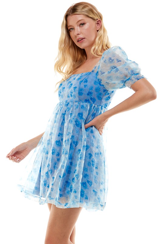 Floral Print Organza Dress