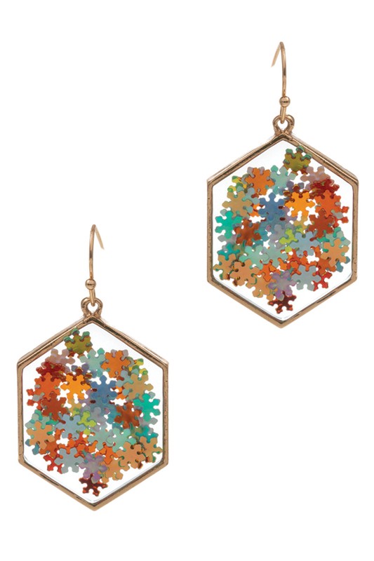 Snow Flake Glitter Stone Hook Earrings