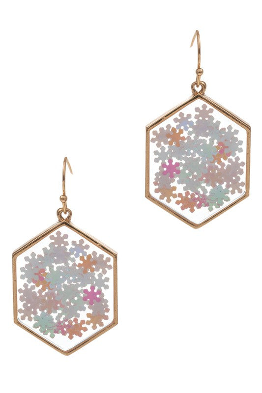 Snow Flake Glitter Stone Hook Earrings