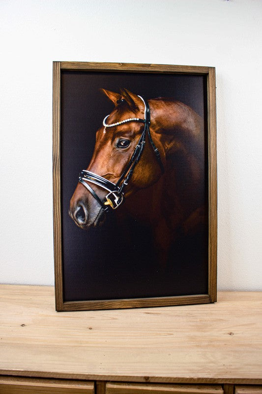 Brown Horse Dark Background