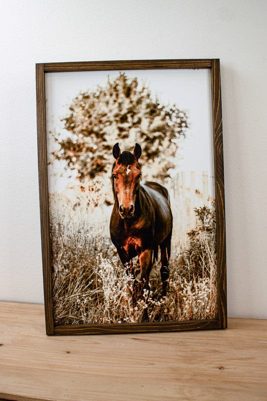 Brown Horse In Field