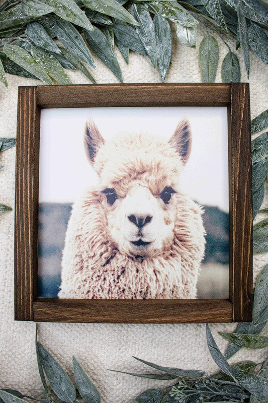 Cash Alpaca Sign