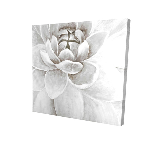 Delicate white chrysanthemum - 12x12 Print on canvas