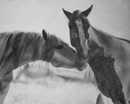 Horses lover - 08x10 Print on canvas