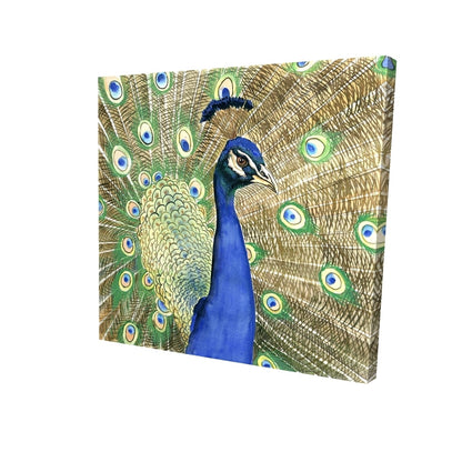 Peacock - 32x32 Print on canvas