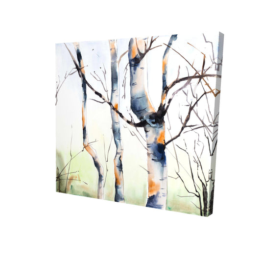 Three small birch trees - 08x08 Print on canvas