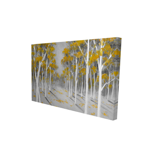 Yellow birch forest - 12x18 Print on canvas