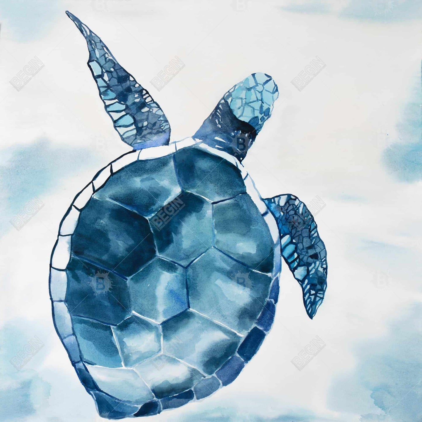 Blue turtle - 12x12 Print on canvas