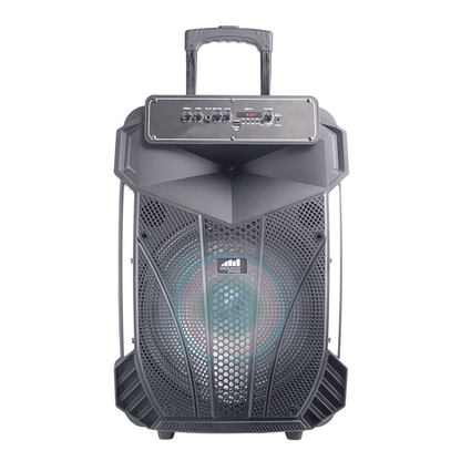 Portable 15 inch Bluetooth Party Speaker with Disco Light by VYSN