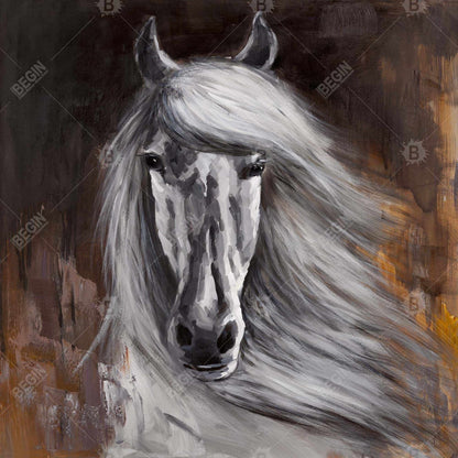 Proud white horse - 08x08 Print on canvas