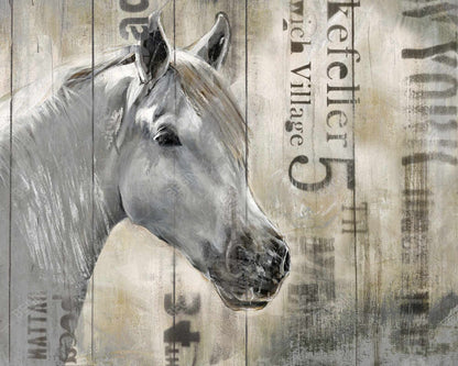 Rustic white horse - 16x20 Print on canvas