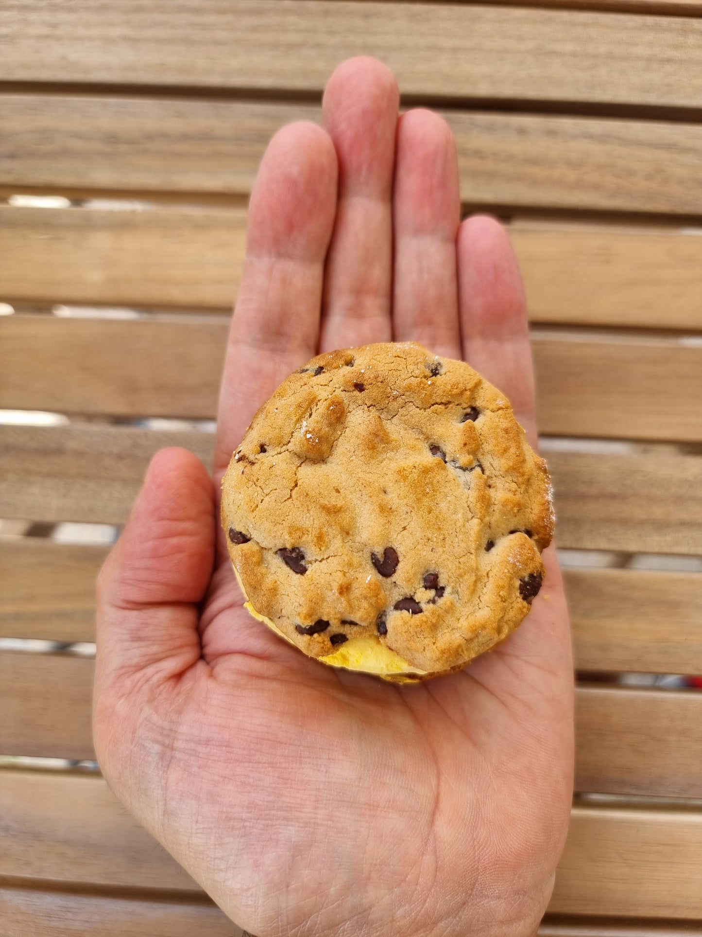 Freeze-Dried Ice Cream Cookie - Vanilla by The Rotten Fruit Box