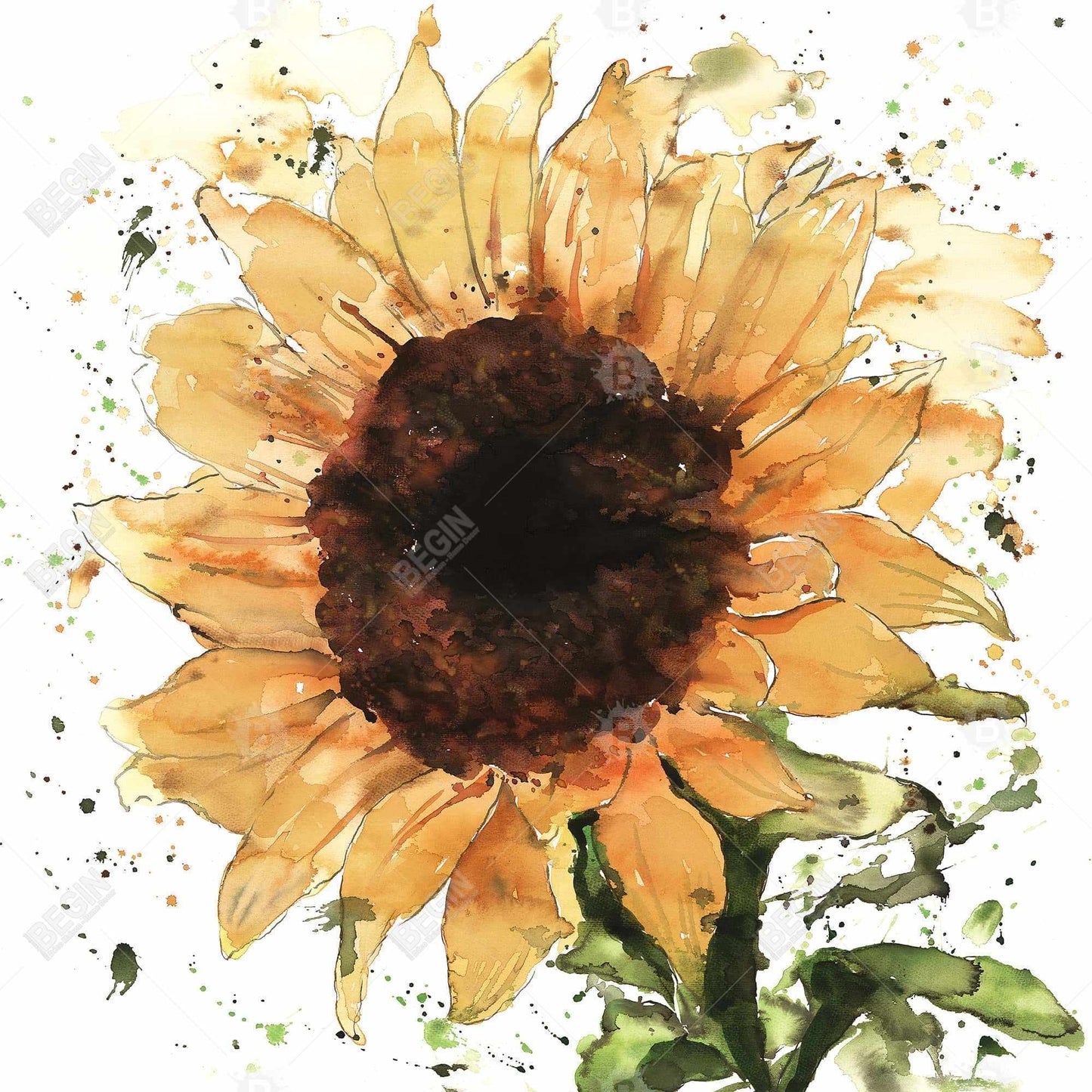 Big sunflower - 32x32 Print on canvas