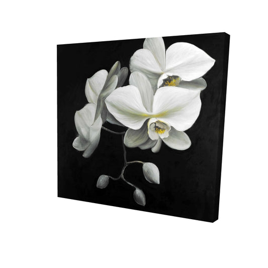 White orchids - 12x12 Print on canvas