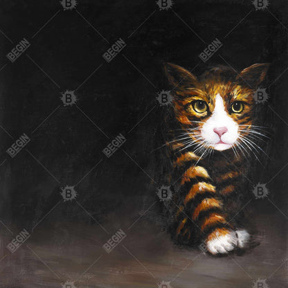 Discreet cat - 32x32 Print on canvas