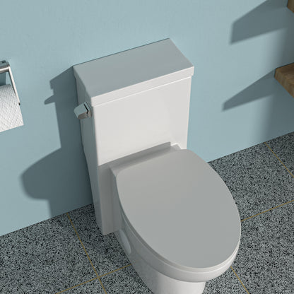 Ceramic One Piece Toilet,Single Flush with Soft Clsoing Seat