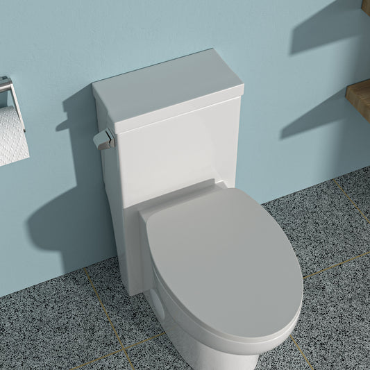 Ceramic One Piece Toilet,Single Flush with Soft Clsoing Seat