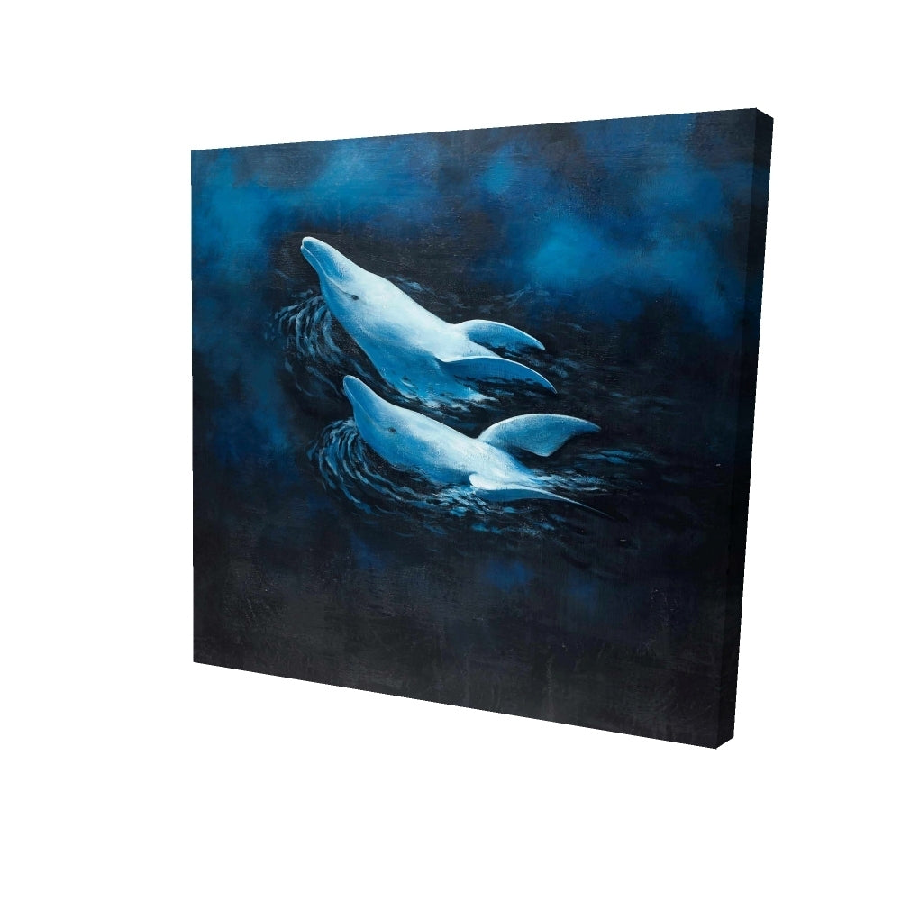 Two swimming dolphins - 32x32 Print on canvas