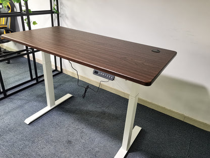 Electric Standing Desk  with Dual Motor Height Adjustable Sit Stand Desk Computer Workstation with USB Charge
"	
，Silver Grey