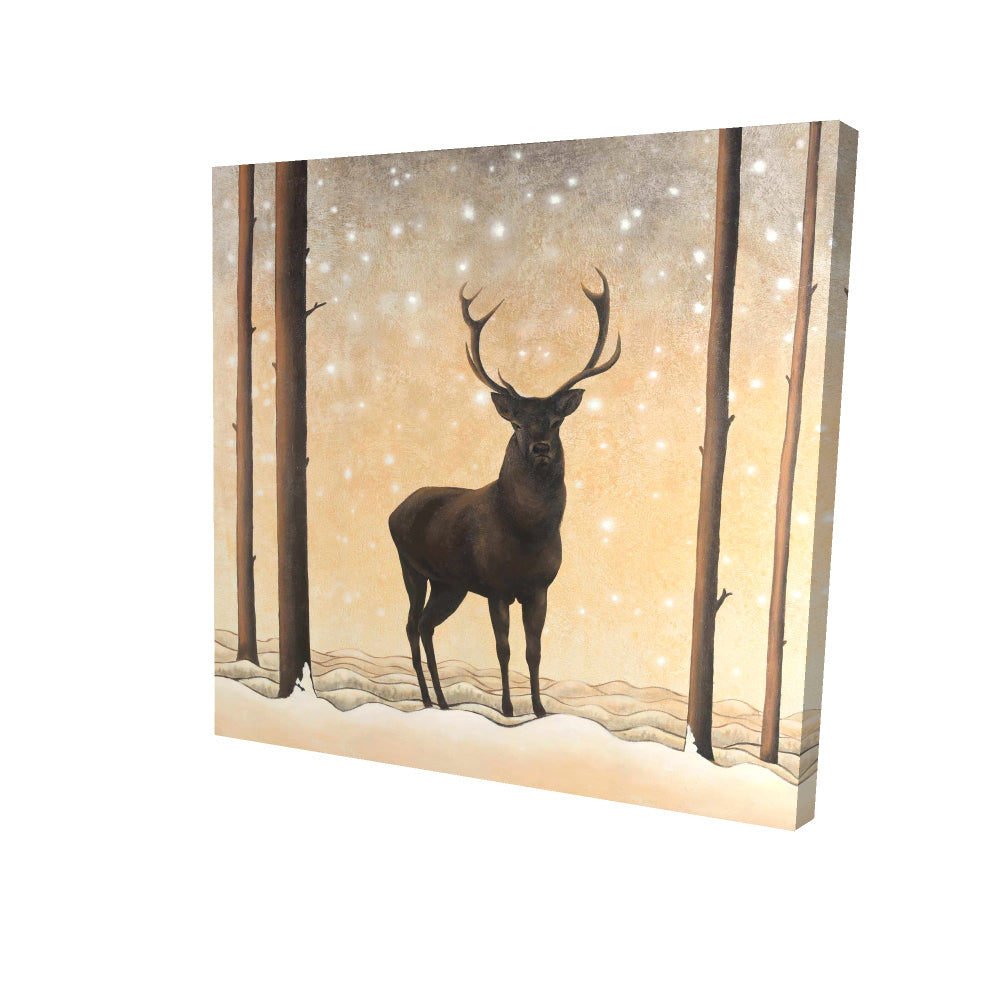 Roe deer in winter - 08x08 Print on canvas