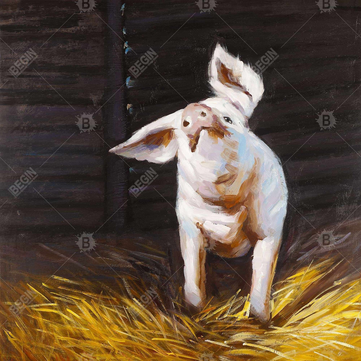 Happy pig - 12x12 Print on canvas