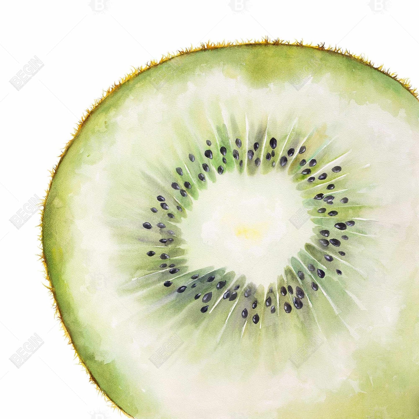 Kiwi slice - 32x32 Print on canvas