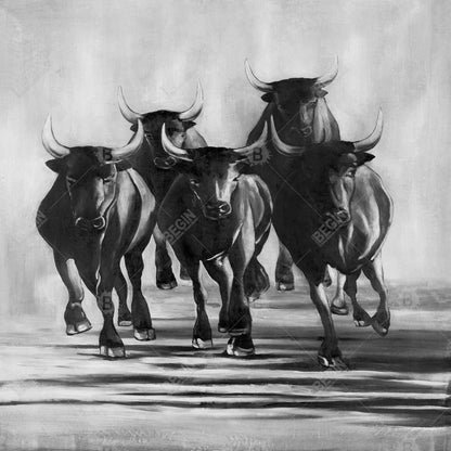 Group of bulls at galops - 32x32 Print on canvas