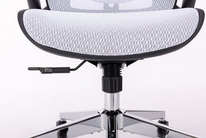 Ergonomic Mesh Office Chair - Rolling Home Desk Chair with 4D Adjustable Flip Armrests,  Adjustable Lumbar Support and Blade Wheels(WHITE MESH)