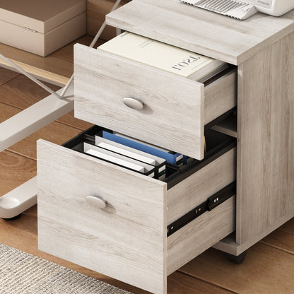 2 Drawer Mobile File Cabinet