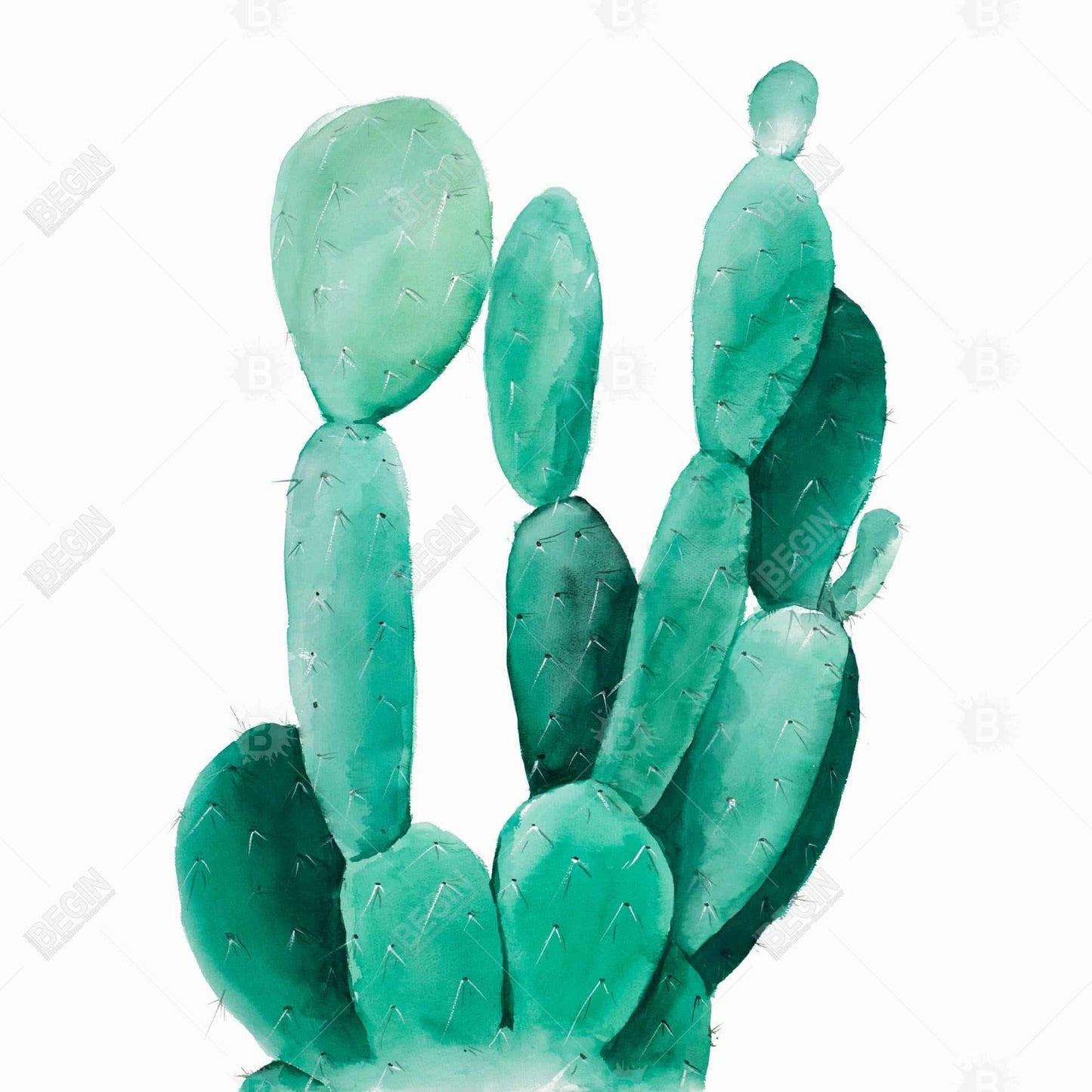 Watercolor paddle cactus - 32x32 Print on canvas