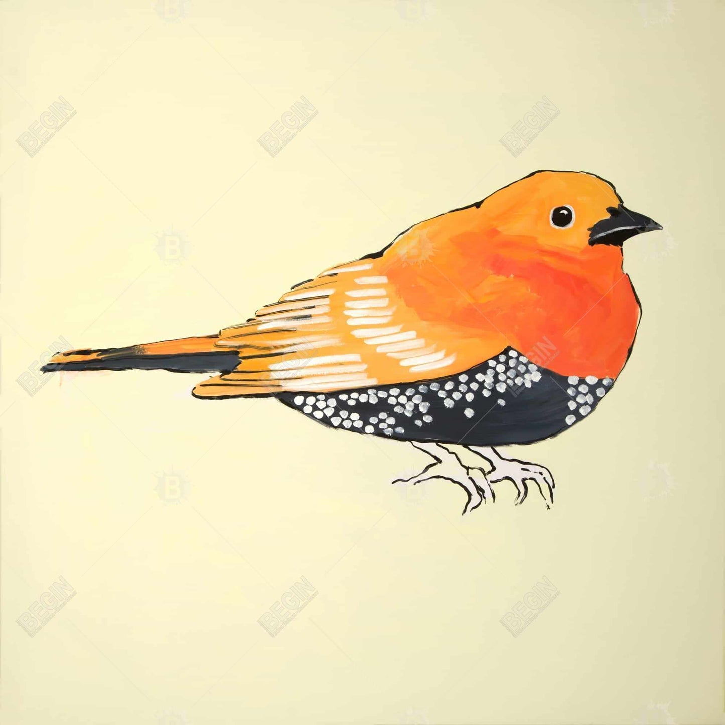 Little orange bird illustration - 32x32 Print on canvas