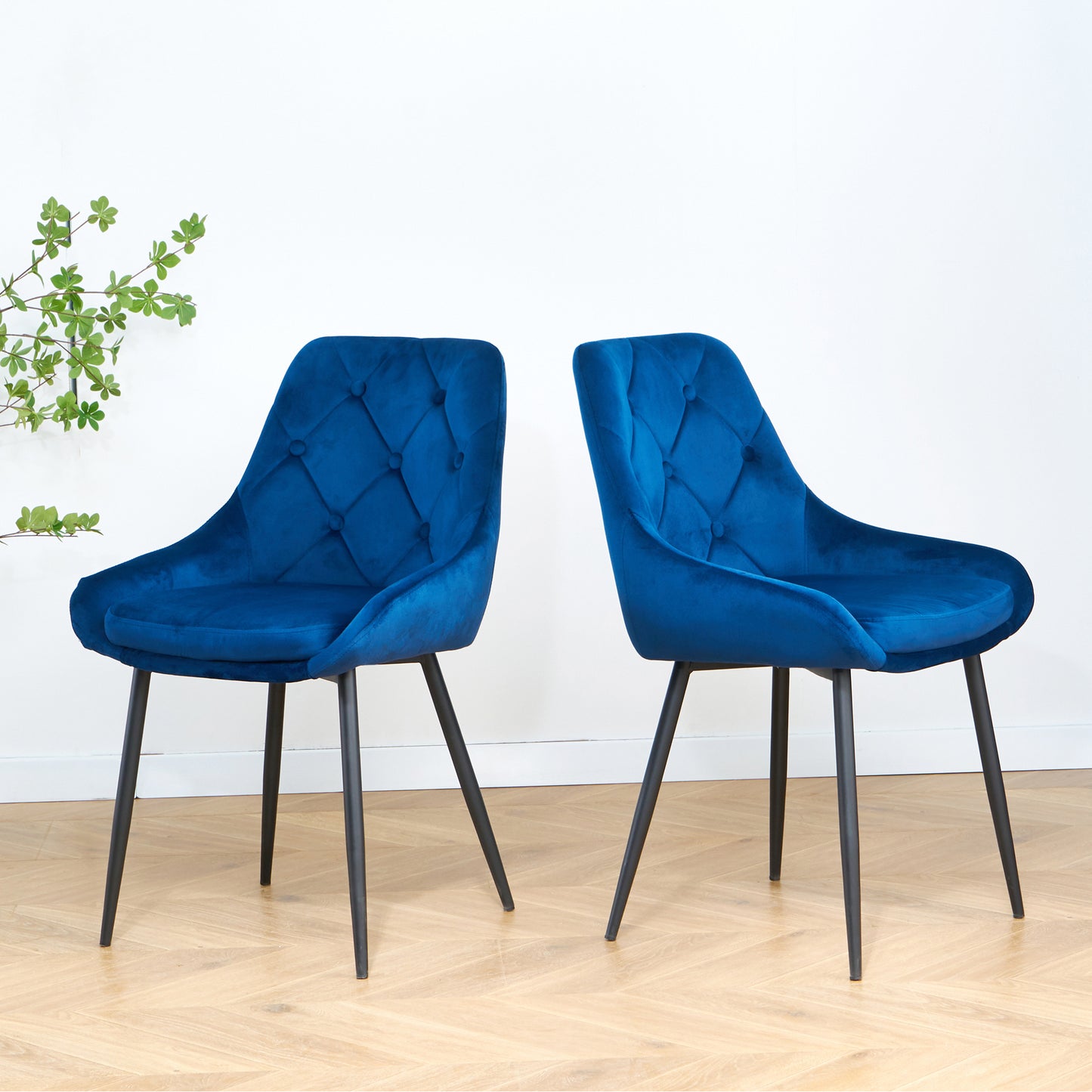 Modern Blue Velvet Dining Chairs , Fabric Accent Upholstered Chairs Side Chair with Black Legs for Home Furniture Living Room Bedroom Kitchen Dinning room(set of 2)