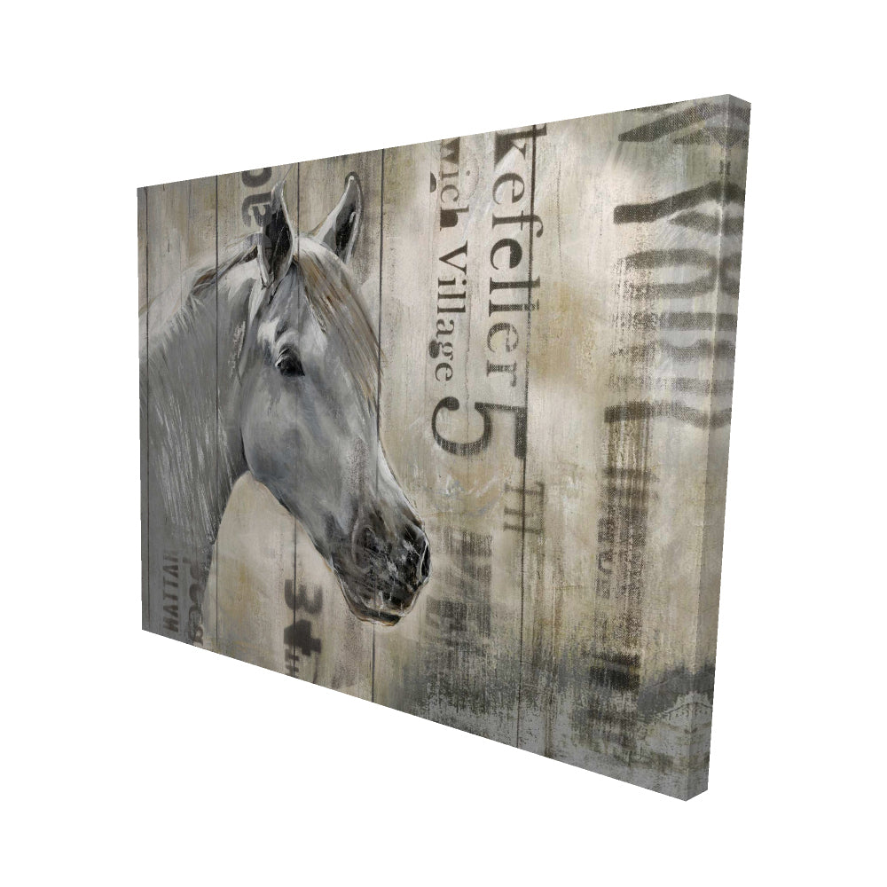 Rustic white horse - 16x20 Print on canvas