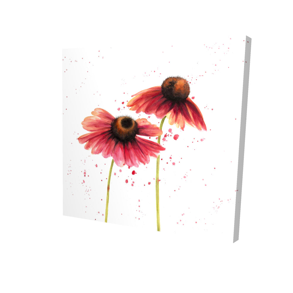 Two pink daisies - 12x12 Print on canvas