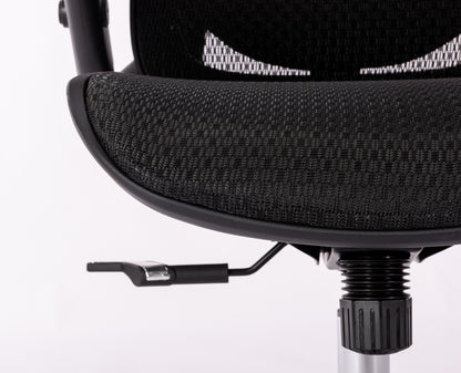 Ergonomic Mesh Office Chair - Rolling Home Desk Chair with 4D Adjustable Flip Armrests,  Adjustable Lumbar Support and Blade Wheels