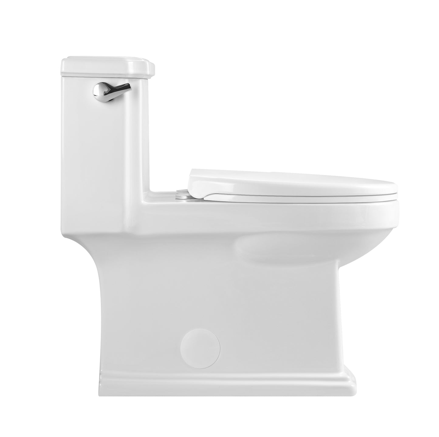 One-Piece Toilet