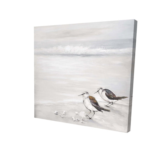 Two sandpipiers birds - 08x08 Print on canvas