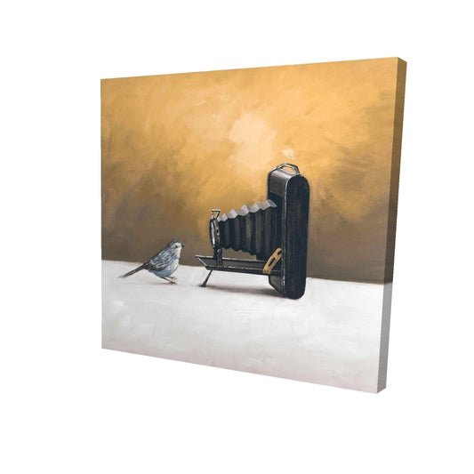 Old camera with bird - 12x12 Print on canvas